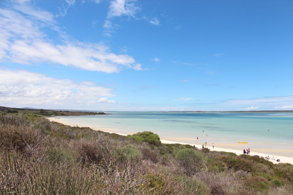 playas en sudafrica langebaan shark bay